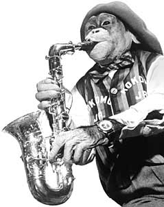 Kokomo_Jr_on_sax